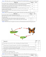 CÂU HỎI ĐÚNG SAI SINH TRƯỞNG VÀ PHÁT TRIỂN ĐỘNG VẬT.docx